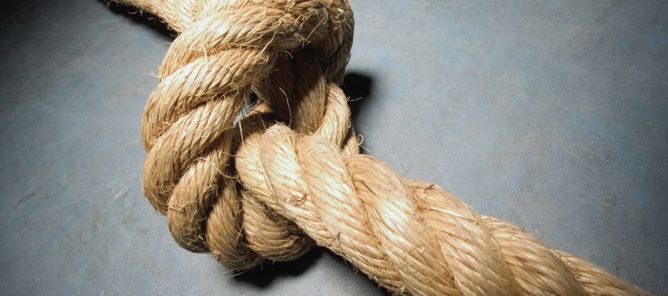 et loddent dyr som ligger på en grå overflate