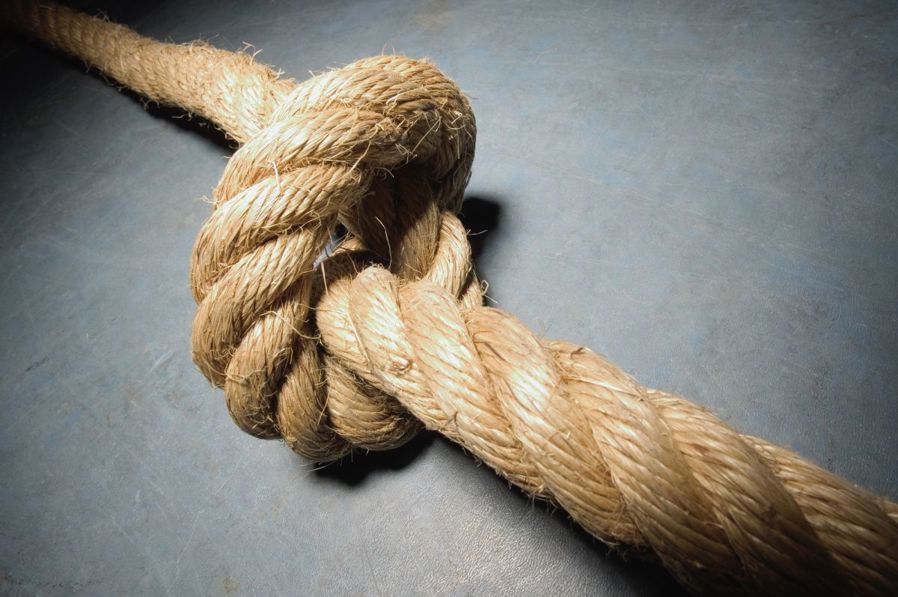 et loddent dyr som ligger på en grå overflate