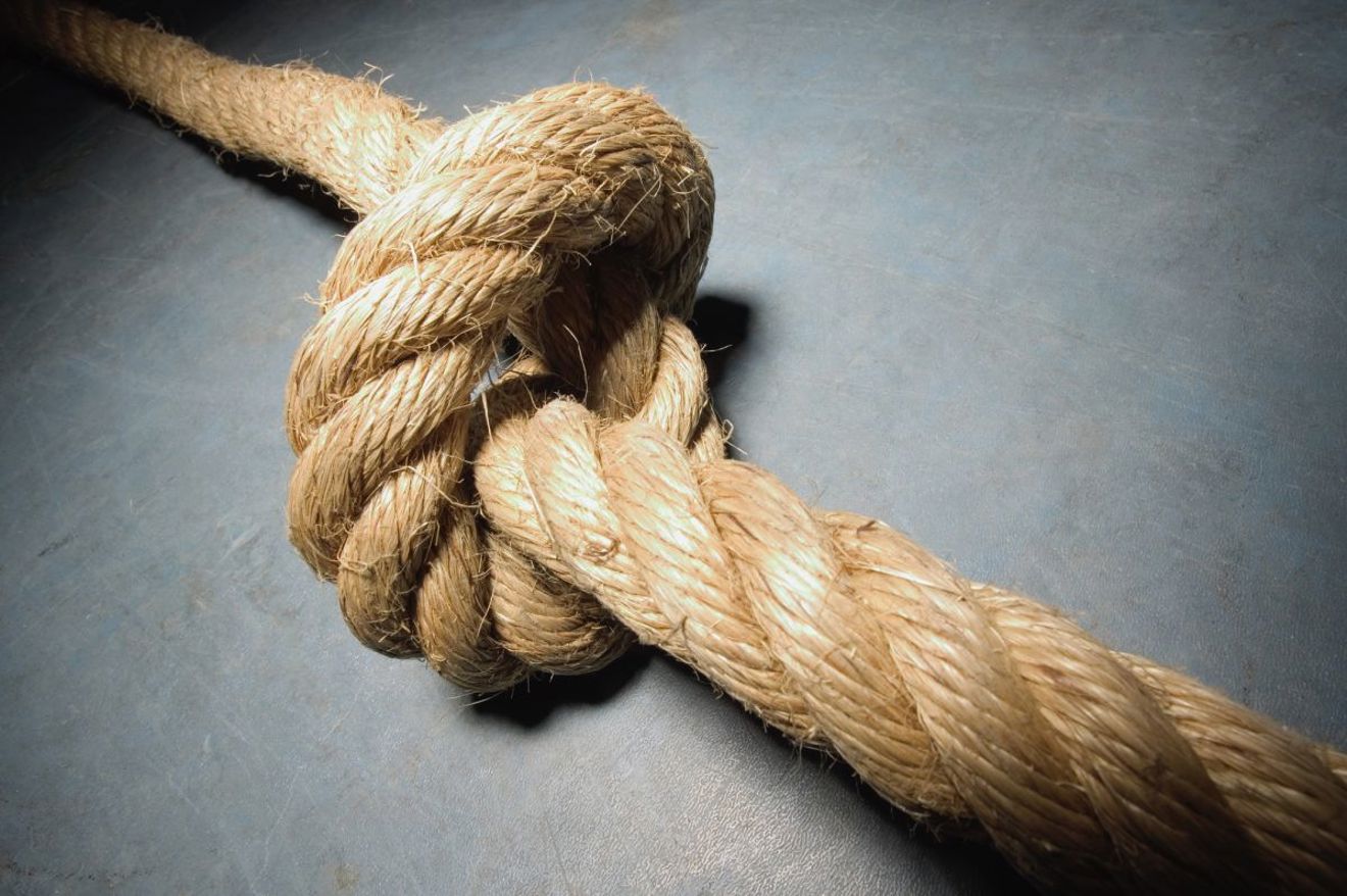 et loddent dyr som ligger på en grå overflate et loddent dyr som ligger på en grå overflate